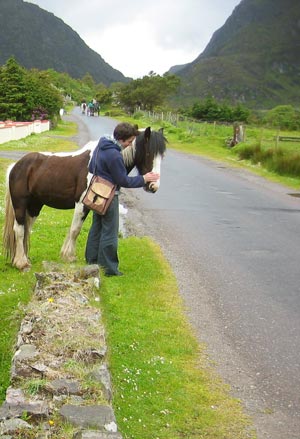 Gap of Dunloe - photo by David Fox